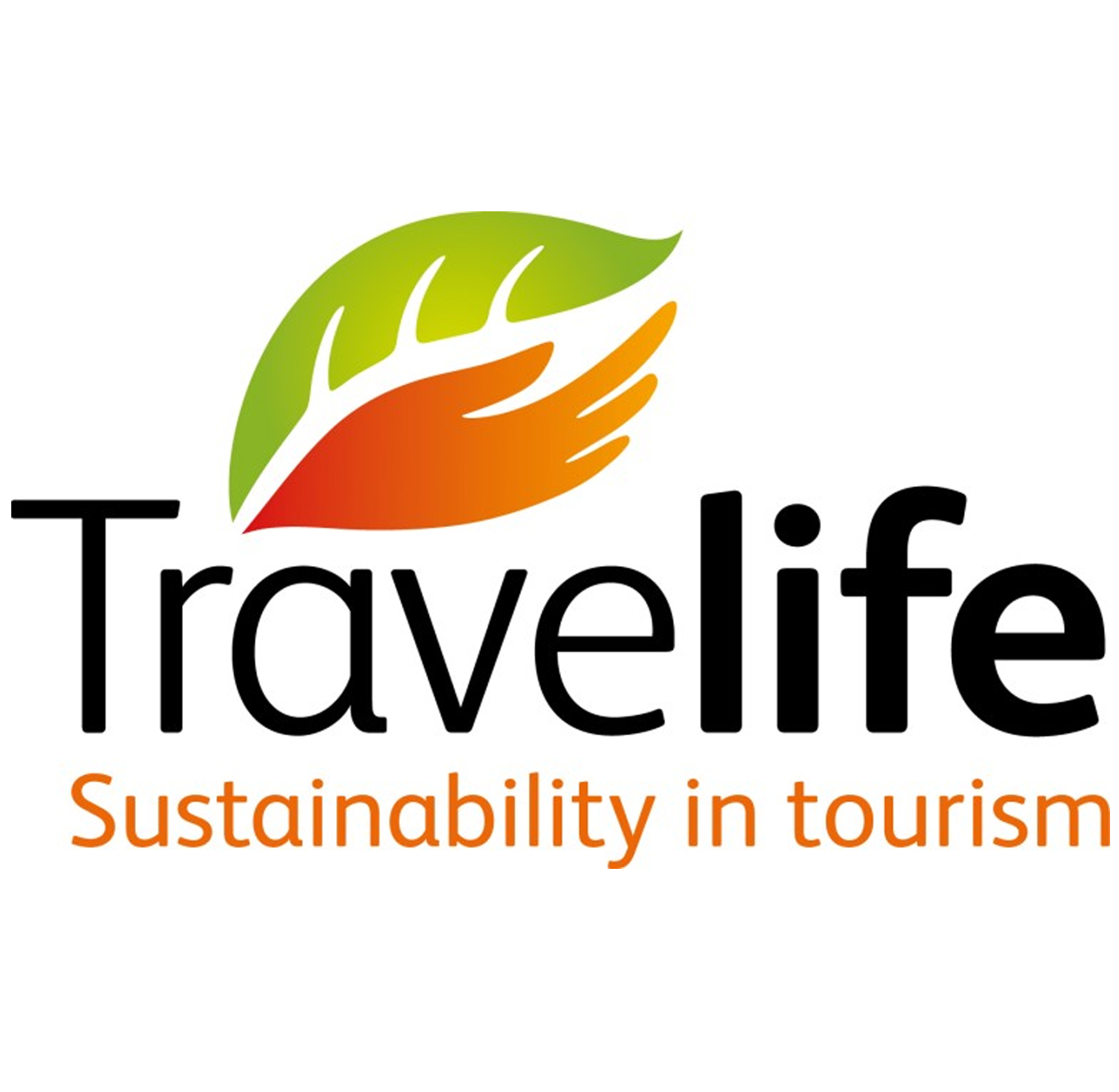life travel and tourist service co. ltd